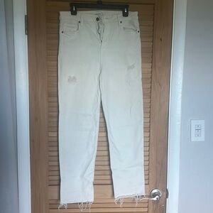 Carly Jean Los Angeles CHRISSY’s!